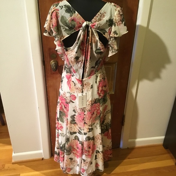Divine Heritage floral Cottagecore style midi dress - Picture 5 of 14